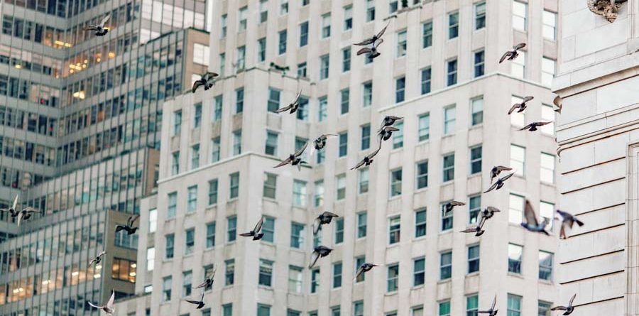 Building in Financial District